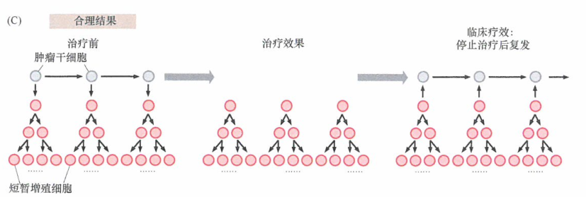 肿瘤干细胞的存在使抗肿瘤治疗的评价复杂化研究