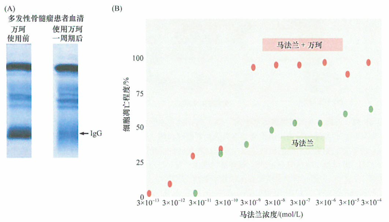 多发性骨髓瘤和万珂的生物学效应