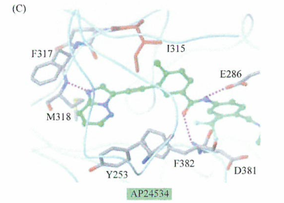 ​格列卫耐药肿瘤患者Bcr-Ab1的替代抑制剂研究