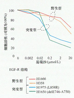 siRNA对EGF-R表达的抑制作用研究