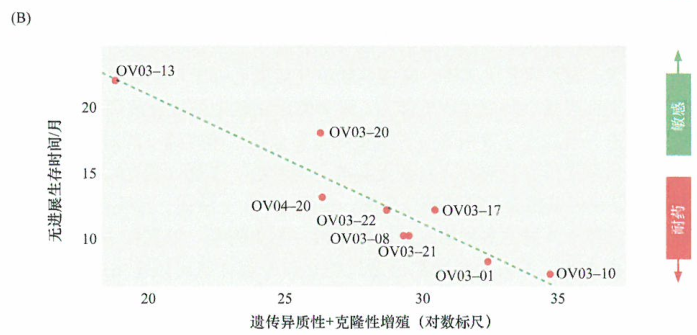 肿瘤基因的多样化和治疗的耐受性研究