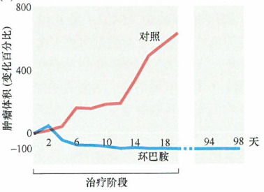 环巴胺及其类似物对肿瘤生长的影响研究