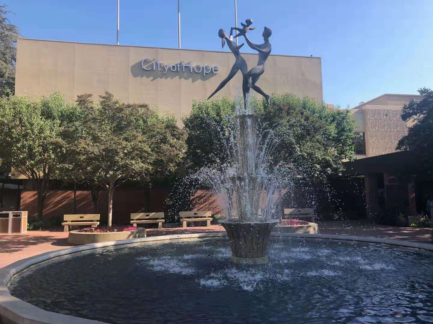 免疫系统在预防或促进肿瘤发展中的作用研究