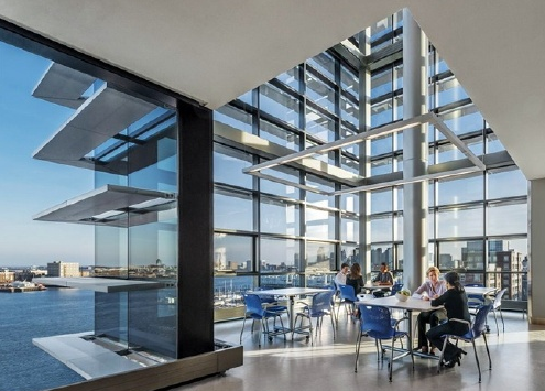 细胞凋亡途径，死亡受体和线粒体的研究