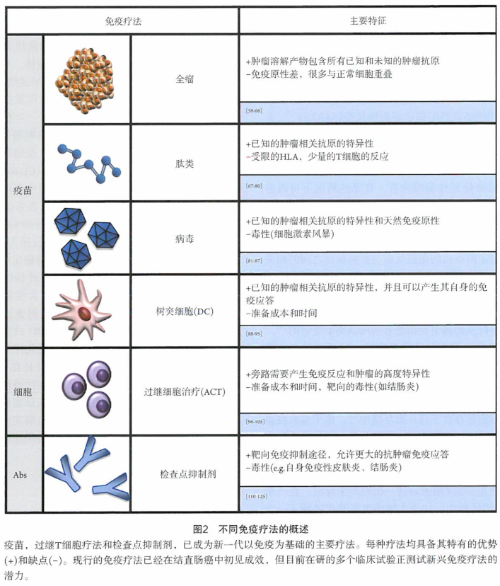 利用免疫系统来清除肿瘤的治疗方法研究