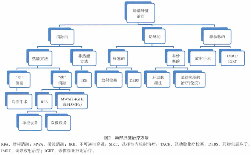 治疗不可切除CRLM的消融方法