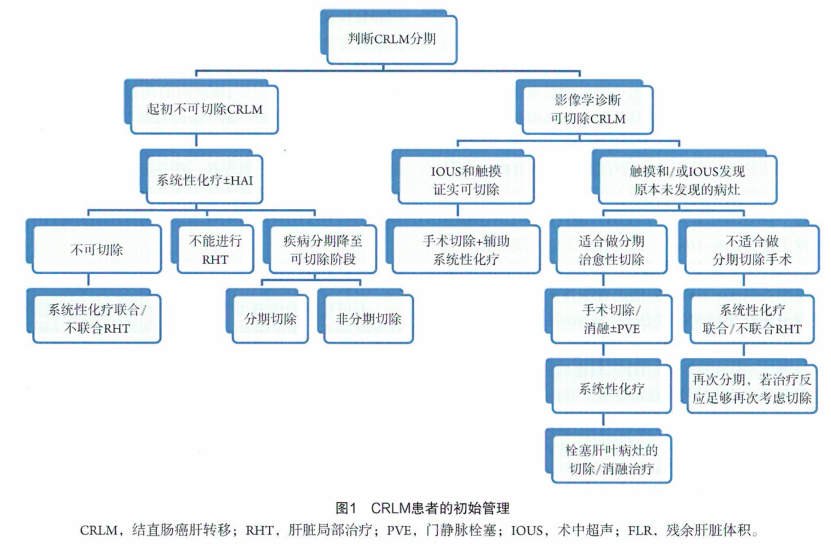 治疗不可切除CRLM的消融方法