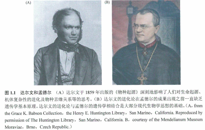 细胞和有机体的生物学与遗传学特性研究