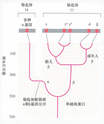 基因克隆技术为正常和肿瘤细胞研究带来革命性变化