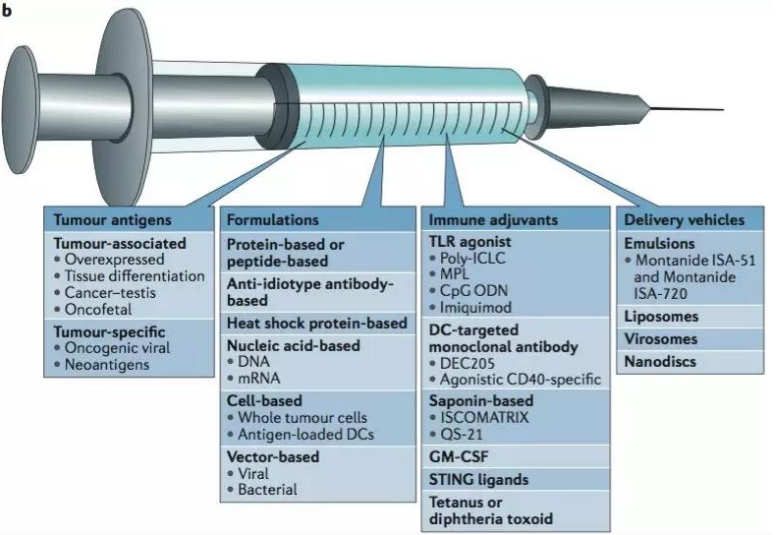 巨噬细胞-粒细胞集落刺激因子转基因疫苗GVAX疫苗