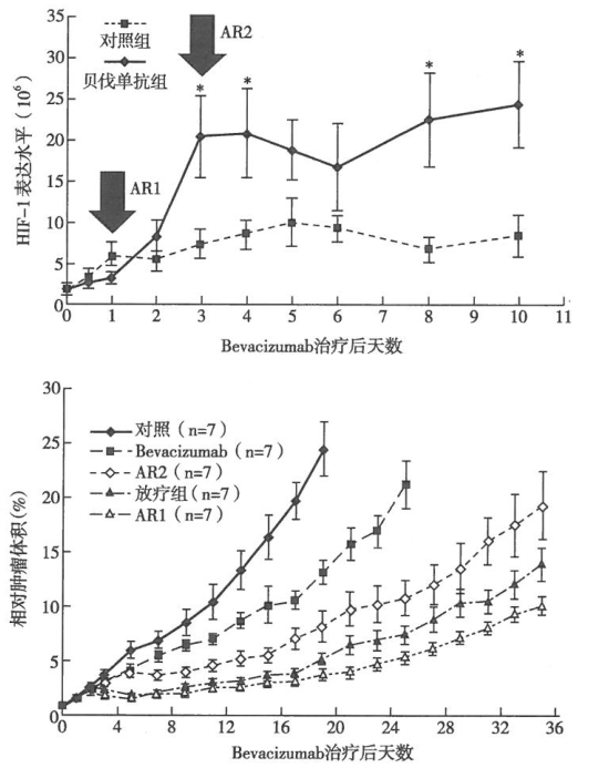 肿瘤血管靶向药物与放射治疗联合治疗