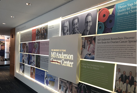 HPV：人乳头状瘤病毒的免疫逃避