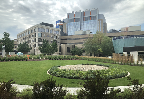 促癌因素：基因组不稳定和突变