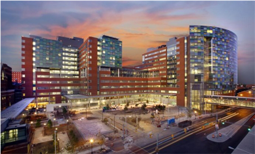 Fanconi贫血的基因在人类肿瘤中扮演重要角色