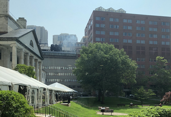 伊马替尼：靶向已知激酶突变的癌症