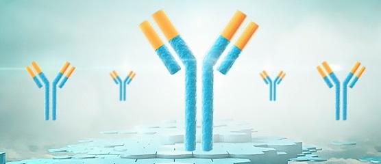 小细胞肺癌SCLC转化性靶向治疗研究进展