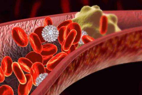 沙利度胺(Thalidomide)