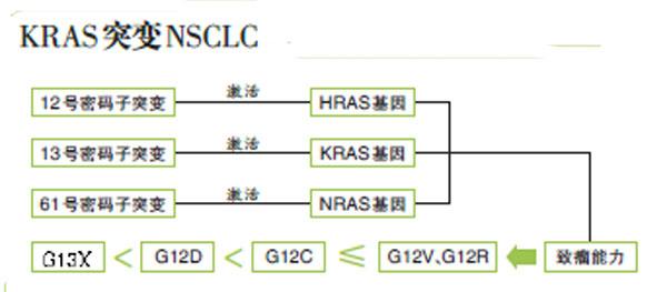 如何配伍其他抗肿瘤药物提升治疗KRAS突变NSCLC的疗效