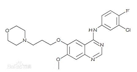 肿瘤组织中对药理学治疗靶点的抑制来确定药物的剂量