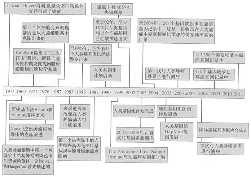 癌症基因鉴定，对人类基因组序​列和结构的认识