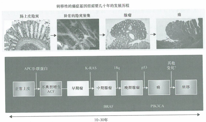 癌症本质上是一种遗传病?