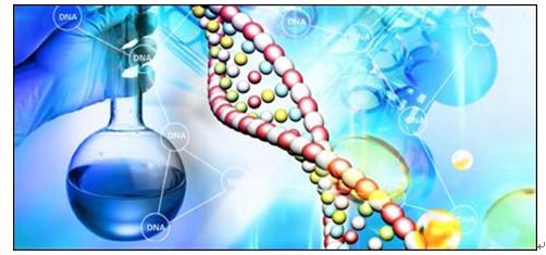 癌症基因组计划网络