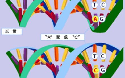 利用第二代测序技术进行全外显子组分析