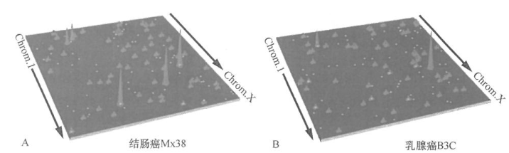 癌症基因组与肿瘤的新分类