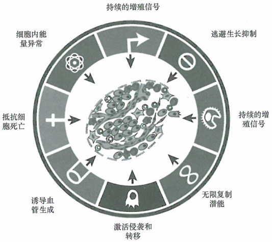 癌症的标志性特征，8个功能性能力