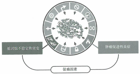 促癌因素：两个普遍的特性协助标志性特征的获得