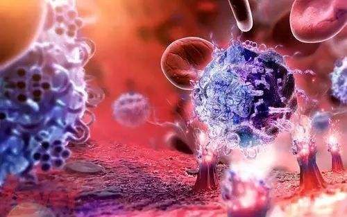 免疫炎症细胞是肿瘤的通用组分及运作方式