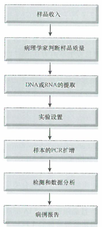 分子诊断的检测过程，常规质量的评估