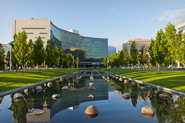 什么是肿瘤的原癌基因？