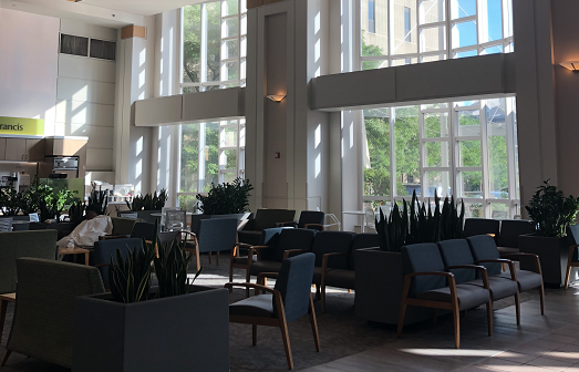 成人高级别胶质瘤及成人胶质瘤形成