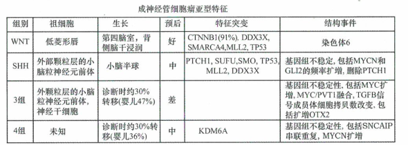 髓母细胞瘤是儿童常见的恶性脑瘤
