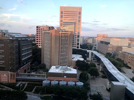 Bezuclastinib 在晚期肥大细胞增多症中显示出前景