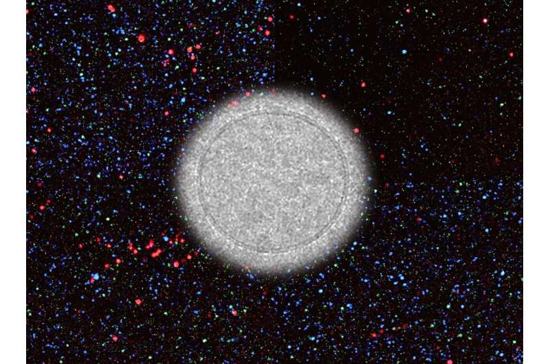 以鉴定的蛋白质来提示诊断卵巢癌的新方法