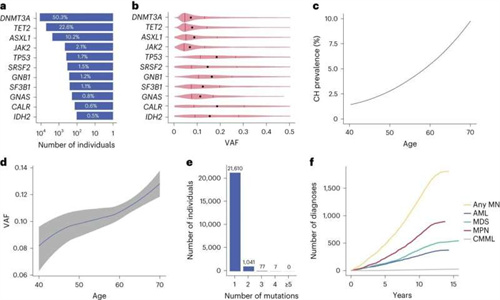 海外创造了一种工具来识别骨髓白血病风险