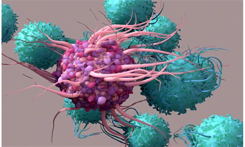 免疫治疗显示了对抗“冷”乳腺癌肿瘤的前景