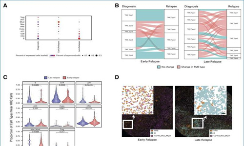 美国专家如何预测淋巴瘤患者的治疗结果？