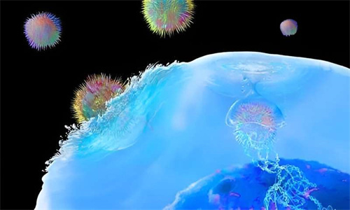 对抗淋巴瘤，治疗方案也应包括化疗的替代方案