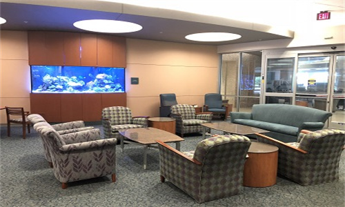 ASCO 的关键数据更新可能会推进肺癌亚型治疗的前景