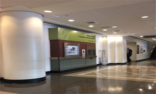 滤泡性淋巴瘤的 CAR T 细胞治疗选择需要慎重考虑