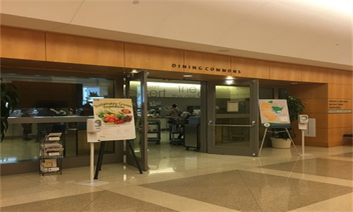 SOC 预防与骨髓纤维化中 GVHD 发生率降低相关